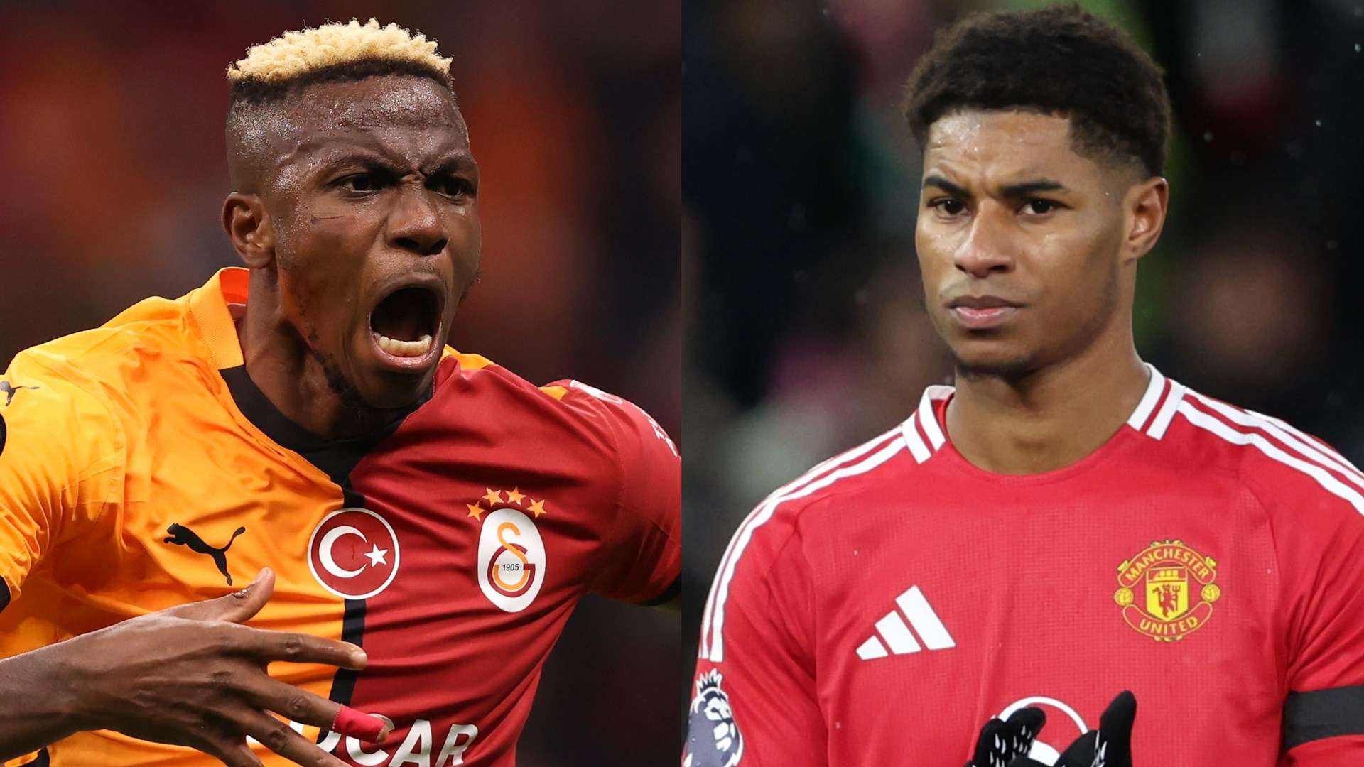 标等问题层 标等问题层